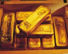 Діти знайшли золото, заховане у лісі