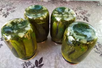 Консервированные огурцы, фото из открытых источников