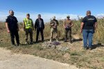 незаконний вилов риби