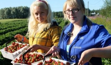 В этом году в Польше рекордное количество "заробитчан"
