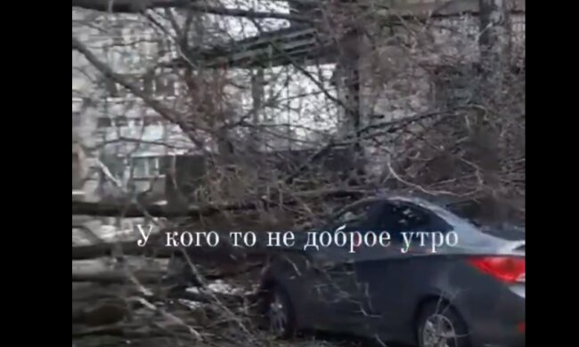 Скрин, видео YouTube