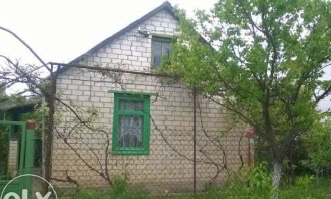 Кияни перестали орендувати дачі