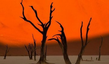 Неймовірні знімки американського фотографа пам’яток з усього світу (фото)