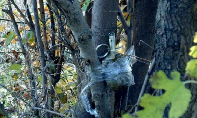 Дві жінки підірвались на розтяжці під Мар’їнкою