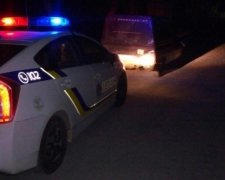 Запорізькі патрульні затримали п'яну "сестру Януковича"