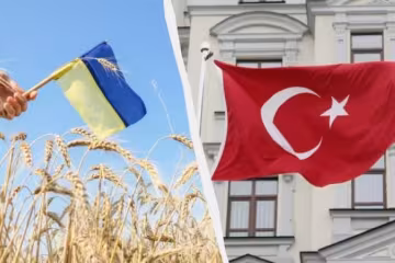 Соглашение о свободной торговле Украины и Турции