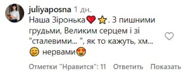 Коментарі під публікацією Вєрки Сердючки. Фото скрін з Instagram