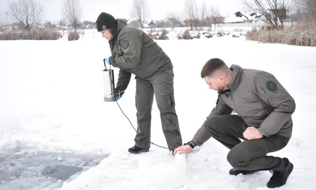 Госэкоинспекция