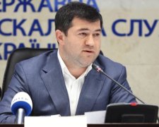 Дружина Насірова внесла 100 млн грн застави