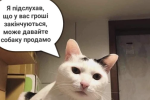 Мем с котом про деньги / фото: Pinterest