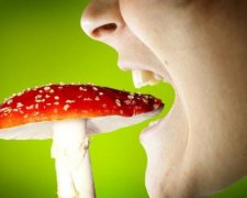 Отруєння грибами: симптоми і лікування