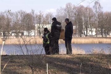 Скрин, видео YouTube