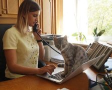 В Днепропетровской ОГА появился необычный сотрудник: фото