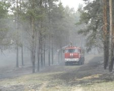 На Херсонщине загорелось несколько гектаров леса