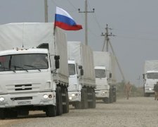 "Гумконвой" РФ привез в "ДНР" 500 тонн российских учебников