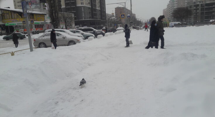 Зима, мороз - фото Знай.ua