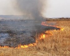 На Луганщині через обстріли згоріло сто гектарів поля