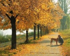 Потужний циклон насувається на Україну: холодні дощі не за горами