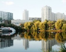 СБУ вирубує Голосіївський парк 