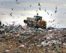 Китайці допоможуть Садовому впоратися зі сміттям