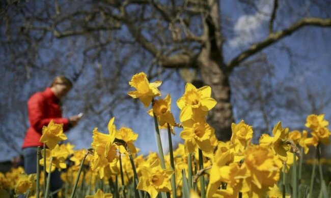 США зняли економічні поступки для України: хто постраждає