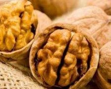 Горіх вбереже від раку