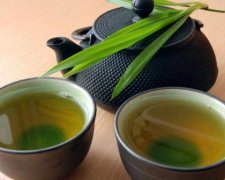 Зеленый чай и физкультура способны побороть болезнь Альцгеймера