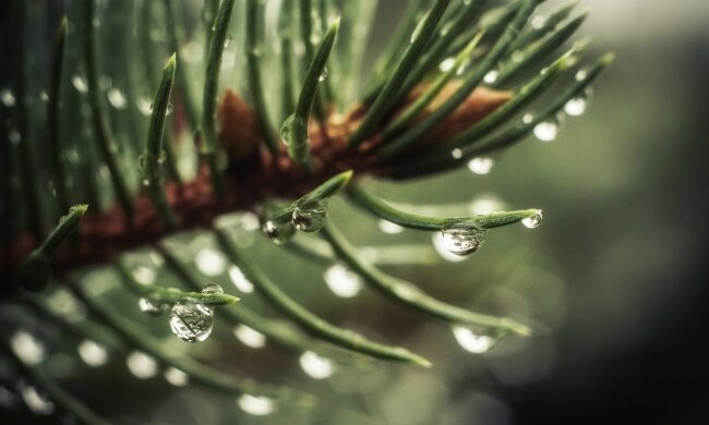 Погода в Украине, фото: goodfon