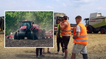 Ціни на зерно в Україні на тлі світової аграрної кризи