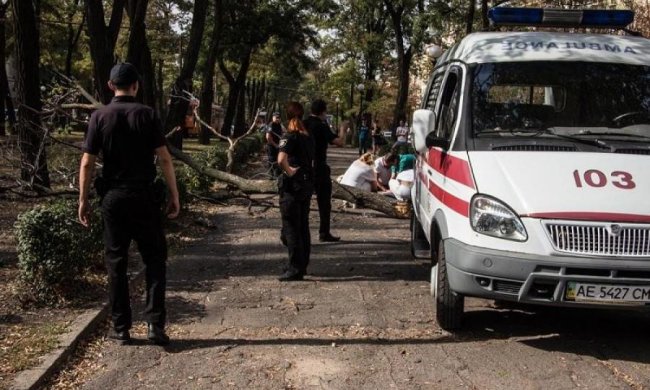 Сухая ветка спровоцировала трагедию в Днепре 