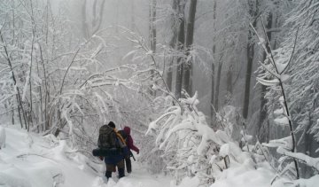 Неймовірна краса засніжених Карпат (фото)