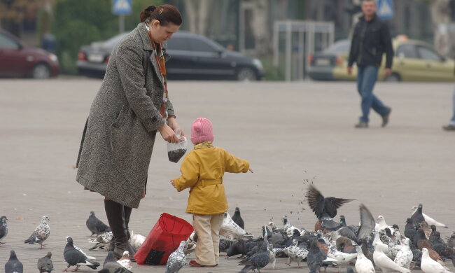 Кияни, ховайте шапки: синоптики потішили сонячним прогнозом, коли очікувати тепла