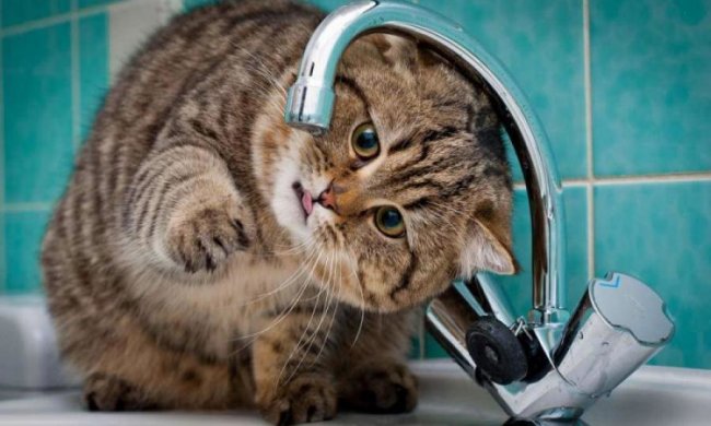 Крупнейшее отключение воды в Киеве: карта столичных бюветов