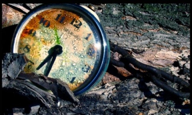 Учені знайшли біогодинник у бактерій