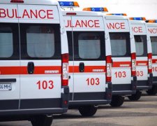 Мруть як мухи: що безжально вбиває українців