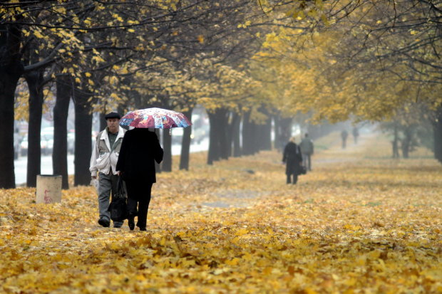 Прогноз погоды на 22 октября: осень заставит украинцев дрожать от холода