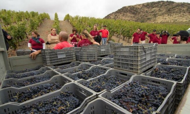 Робота за кордоном для українців: топ найперспективніших країн