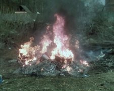 На Житомирщині спалили 60 кг наркотиків (фото, відео)