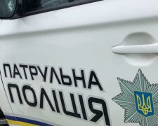 У Запоріжжі п'яний батько познущався над семирічною принцесою, поки дружина мучилася в пологовому