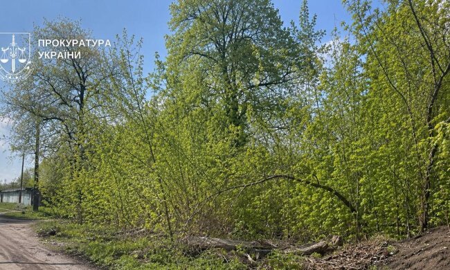 Земельна ділянка в Києві