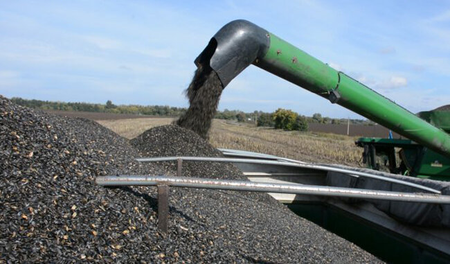 Експорт соняшнику