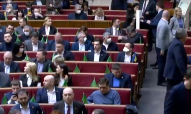 Верховна Рада під час карантину, скріншот: YouTube