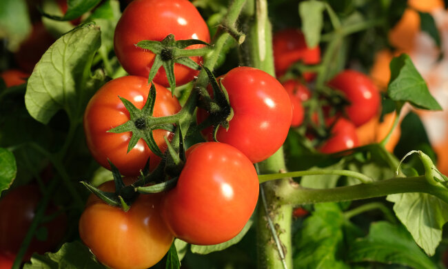 фото Getty Images