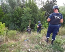 Саперы ужаснули находками в Станице Луганской: смерть посеяна на каждом шагу