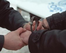 Полювання на "сім'ю" Януковича: силовики опублікували імена та відео