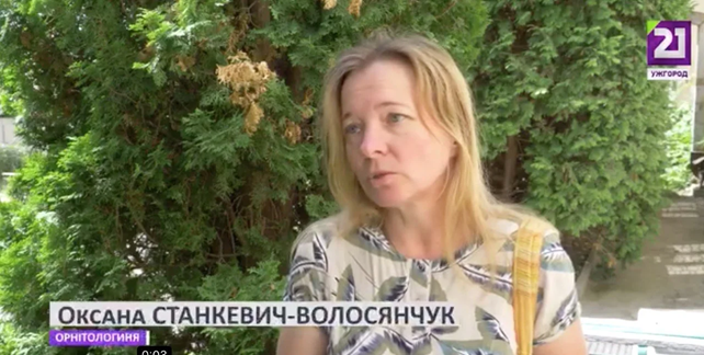 СМИ обвиняют экоактивистов Закарпатья в освоении миллионов в противодействии ветроэнергетике, пропагандированной еще несколько лет назад