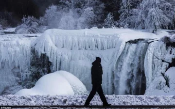 Кадри закутого кригою Ніагарського водоспаду зачарували світ