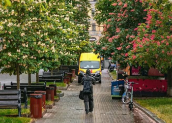 Українці, каштани, фото із соцмереж
