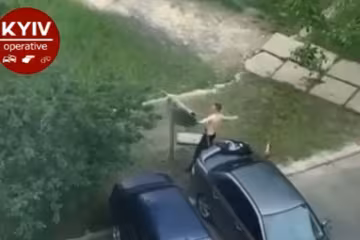 Бійка з килимом, скріншот із відео