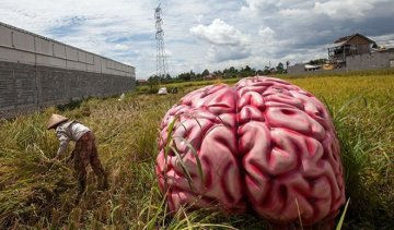 Лікарі 50 років проводили невдалий експеримент